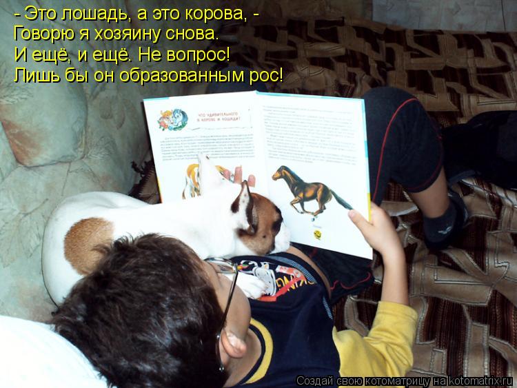 - Это лошадь, а это корова, - Говорю я хозяину снова. И ещё, и ещё… Не вопрос! Лишь бы он образованн... Котоматрица: - Это лошадь, а это корова, - Говорю я хозяину снова. И ещё, и ещё… Не вопрос! Лишь бы он образованным рос!