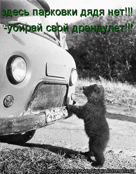 Котоматрица: здесь парковки дядя нет!!! -убирай свой драндулет!!!