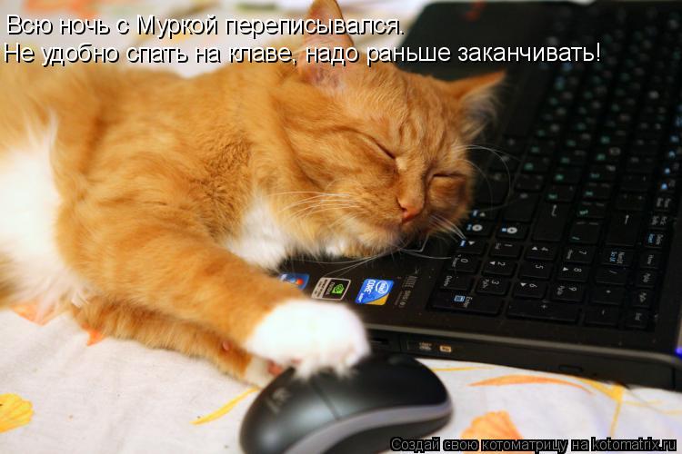 Всю ночь с Муркой переписывался. Не удобно спать на клаве, надо раньше заканчивать!... Котоматрица: Всю ночь с Муркой переписывался. Не удобно спать на клаве, надо раньше заканчивать!