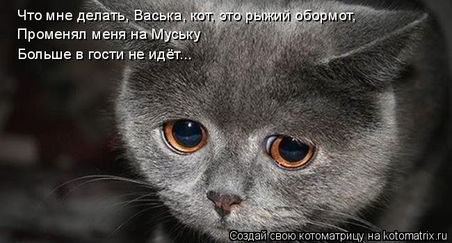 Что мне делать, Васька, кот, это рыжий обормот, Променял меня на Муську Больше в гости не идёт...... Котоматрица: Что мне делать, Васька, кот, это рыжий обормот, Променял меня на Муську Больше в гости не идёт...