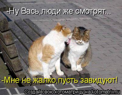 -Ну Вась,люди же смотрят... -Мне не жалко,пусть завидуют!... Котоматрица: -Ну Вась,люди же смотрят... -Мне не жалко,пусть завидуют!