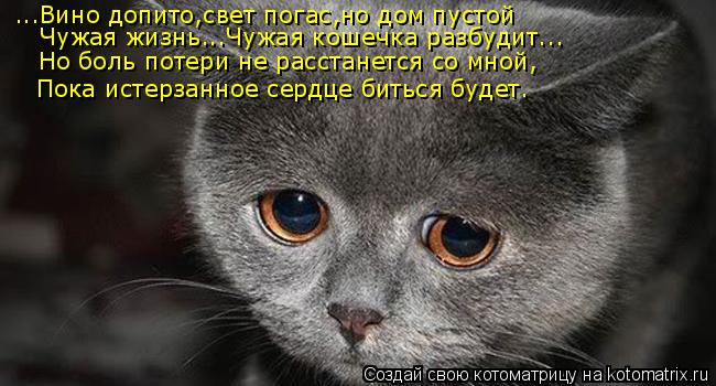 ...Вино допито,свет погас,но дом пустой Чужая жизнь...Чужая кошечка разбудит... Но боль потери не р... Котоматрица: ...Вино допито,свет погас,но дом пустой Чужая жизнь...Чужая кошечка разбудит... Но боль потери не расстанется со мной, Пока истерзанное сердц