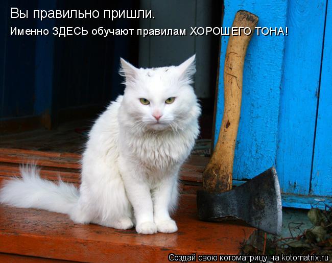 Вы правильно пришли. Именно ЗДЕСЬ обучают правилам ХОРОШЕГО ТОНА!... Котоматрица: Вы правильно пришли. Именно ЗДЕСЬ обучают правилам ХОРОШЕГО ТОНА!