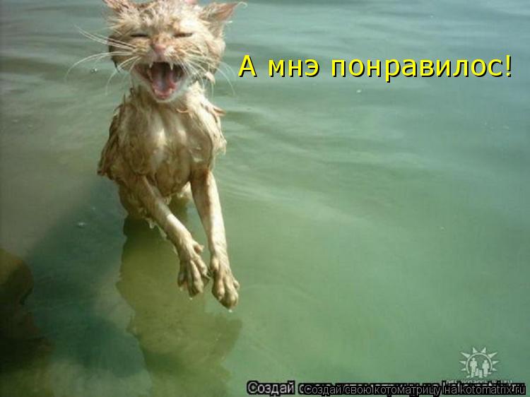 А мнэ понравилос!... Котоматрица: А мнэ понравилос!