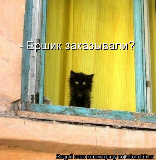 - Ершик заказывали?... Котоматрица: - Ершик заказывали?