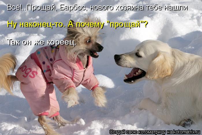 Всё!..Прощай, Барбос, нового хозяина тебе нашли Ну наконец-то. А почему "прощай"? Так он же кореец.... Котоматрица: Всё!..Прощай, Барбос, нового хозяина тебе нашли Ну наконец-то. А почему "прощай"? Так он же кореец.