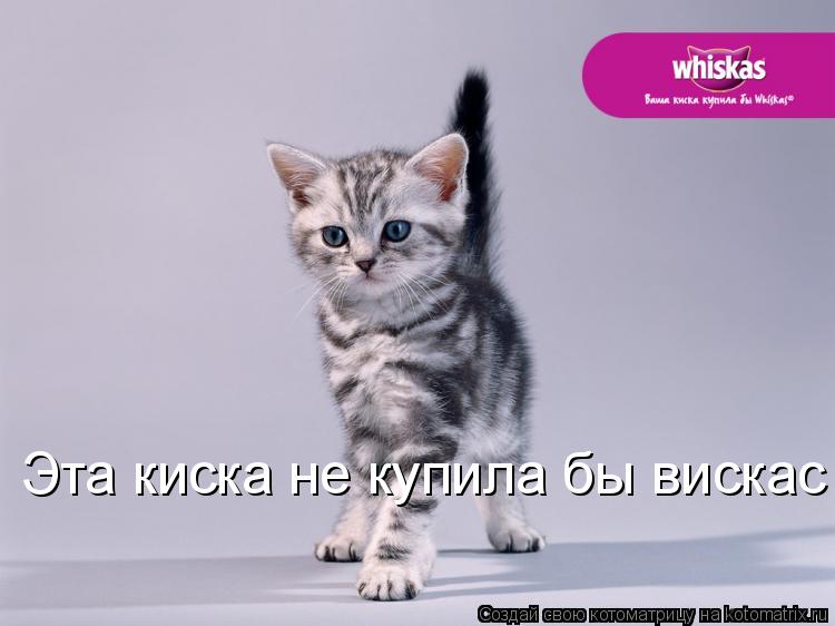 Эта киска не купила бы вискас !!!... Котоматрица: Эта киска не купила бы вискас !!!