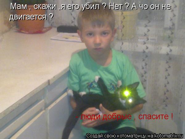 Мам , скажи ,я его убил ? Нет ? А чо он не двигается ? - люди добрые , спасите !... Котоматрица: Мам , скажи ,я его убил ? Нет ? А чо он не двигается ? - люди добрые , спасите !