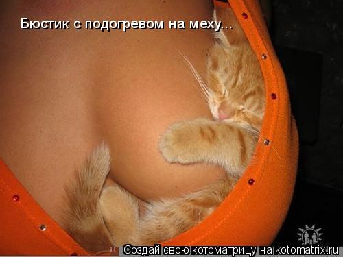 Бюстик с подогревом на меху...... Котоматрица: Бюстик с подогревом на меху...