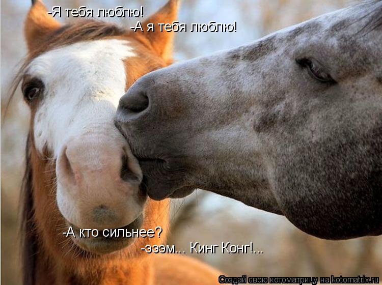 -Я тебя люблю! -А я тебя люблю! -А кто сильнее? -эээм... Кинг Конг!...... Котоматрица: -Я тебя люблю! -А я тебя люблю! -А кто сильнее? -эээм... Кинг Конг!...