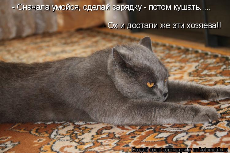 - Сначала умойся, сделай зарядку - потом кушать..... - Сначала умойся, сделай зарядку - потом кушать.... Котоматрица: - Сначала умойся, сделай зарядку - потом кушать..... - Сначала умойся, сделай зарядку - потом кушать..... - Ох и достали же эти хозяева!!