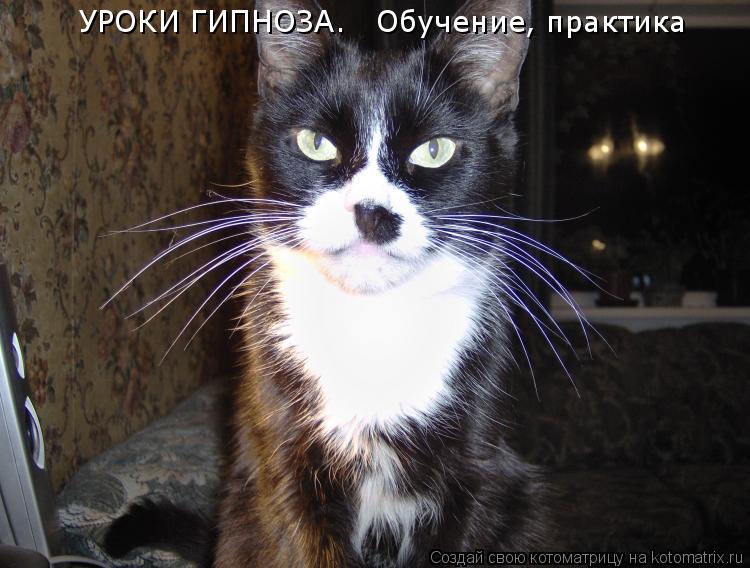 УРОКИ ГИПНОЗА. Обучение, практика... Котоматрица: УРОКИ ГИПНОЗА. Обучение, практика