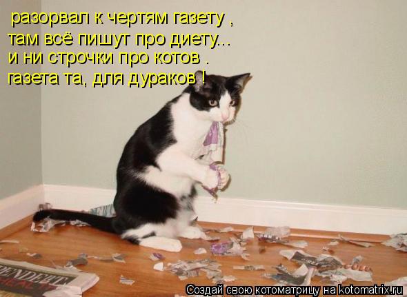 разорвал к чертям газету , там всё пишут про диету... и ни строчки про котов . газета та, для дураков... Котоматрица: разорвал к чертям газету , там всё пишут про диету... и ни строчки про котов . газета та, для дураков !
