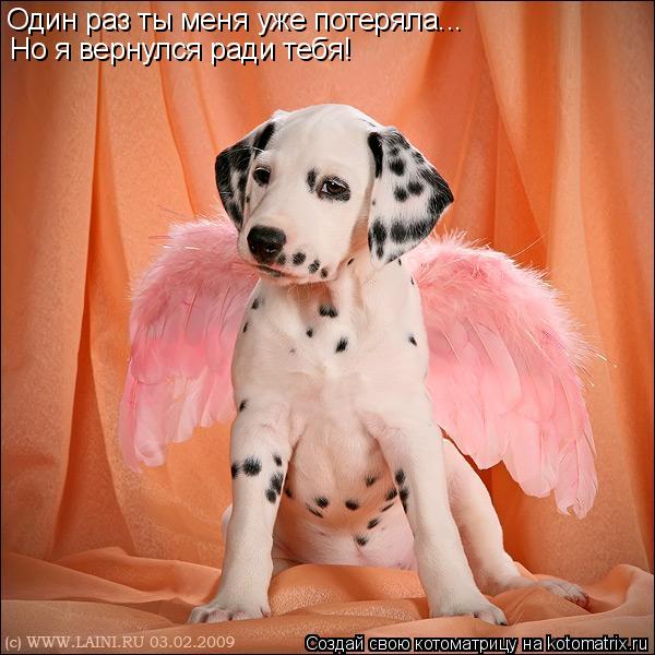 Один раз ты меня уже потеряла... Но я вернулся ради тебя!... Котоматрица: Один раз ты меня уже потеряла... Но я вернулся ради тебя!