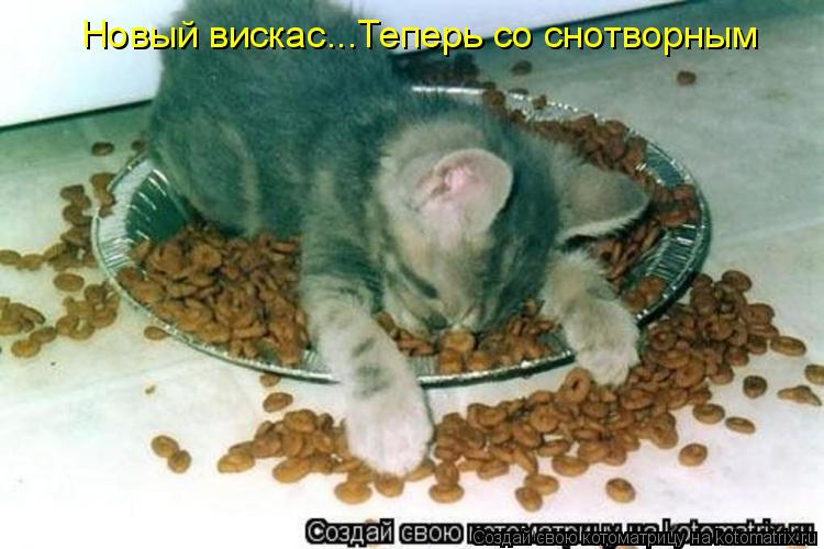 Новый вискас...Теперь со снотворным... Котоматрица: Новый вискас...Теперь со снотворным