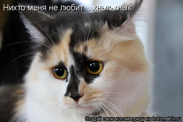 Нихто меня не любит ...хнык-хнык... Котоматрица: Нихто меня не любит ...хнык-хнык
