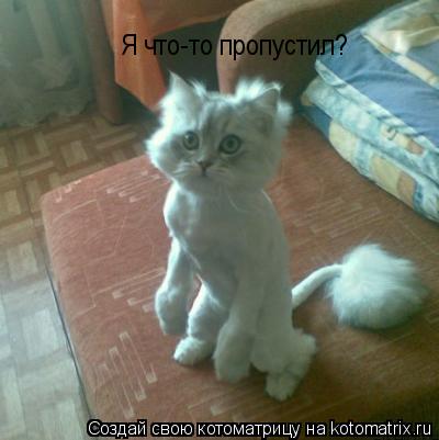 Я что-то пропустил?... Котоматрица: Я что-то пропустил?