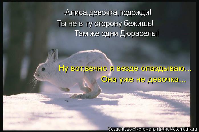 Ты не в ту сторону бежишь! -Алиса,девочка,подожди! Там же одни Дюраселы! Ну вот,вечно я везде опаздыв... Котоматрица: Ты не в ту сторону бежишь! -Алиса,девочка,подожди! Там же одни Дюраселы! Ну вот,вечно я везде опаздываю... Она уже не девочка...