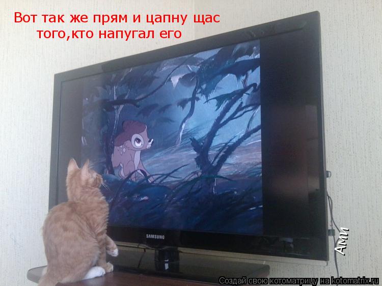 Котоматрица: Вот так же прям и цапну щас того,кто напугал его Ами