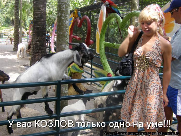 Котоматрица: У вас КОЗЛОВ только одно на уме!!!