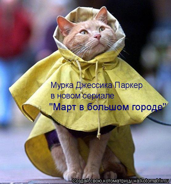 Мурка Джессика Паркер в новом сериале "Март в большом городе"... Котоматрица: Мурка Джессика Паркер в новом сериале "Март в большом городе"