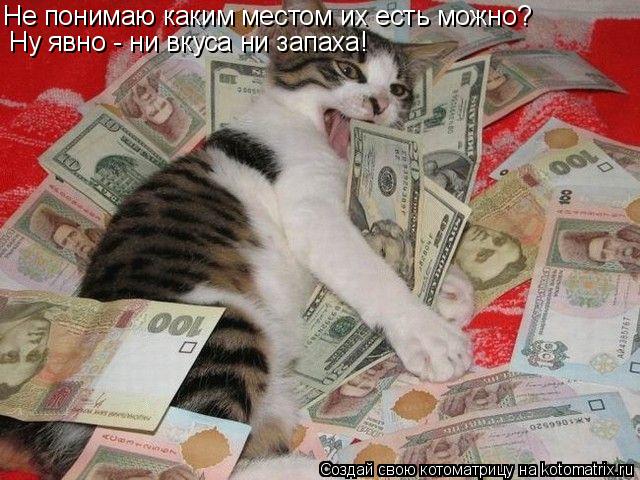 Не понимаю каким местом их есть можно? Ну явно - ни вкуса ни запаха!... Котоматрица: Не понимаю каким местом их есть можно? Ну явно - ни вкуса ни запаха!