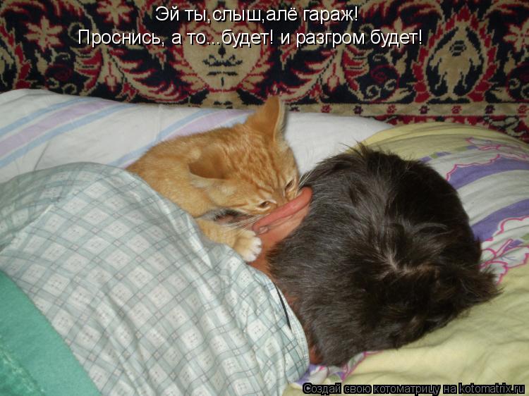 Эй ты,слыш,алё гараж! Проснись, а то...будет! и разгром будет!... Котоматрица: Эй ты,слыш,алё гараж! Проснись, а то...будет! и разгром будет!
