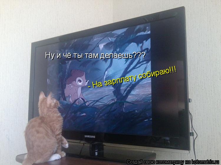 Котоматрица: Ну и чё ты там делаешь??? - На зарплату собираю!!!