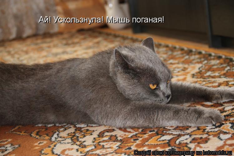 Ай! Ускользнула! Мышь поганая!... Котоматрица: Ай! Ускользнула! Мышь поганая!