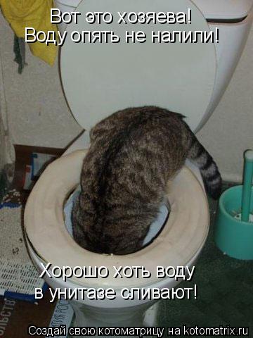 Котоматрица: Вот это хозяева! Воду опять не налили! Хорошо хоть воду в унитазе сливают!