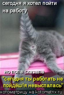 сегодня я хотел пойти на работу но попа сказала "сегодня ты работать не пойдёш!я невыспалась''... Котоматрица: сегодня я хотел пойти на работу но попа сказала "сегодня ты работать не пойдёш!я невыспалась''