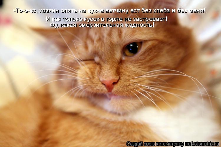 -Тэ-э-кс, хозяин опять на кухне ветчину ест без хлеба и без меня! И как только кусок в горле не застр... Котоматрица: -Тэ-э-кс, хозяин опять на кухне ветчину ест без хлеба и без меня! И как только кусок в горле не застревает! Фу, какая омерзительная жадность!