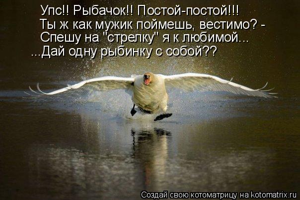 Упс!! Рыбачок!! Постой-постой!!! Ты ж как мужик поймешь, вестимо? - Спешу на "стрелку" я к любимой...... Котоматрица: Упс!! Рыбачок!! Постой-постой!!! Ты ж как мужик поймешь, вестимо? - Спешу на "стрелку" я к любимой... ...Дай одну рыбинку с собой??