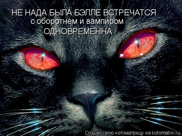 НЕ НАДА БЫЛА БЭЛЛЕ ВСТРЕЧАТСЯ с оборотнем и вампиром ОДНОВРЕМЕННА... Котоматрица: НЕ НАДА БЫЛА БЭЛЛЕ ВСТРЕЧАТСЯ с оборотнем и вампиром ОДНОВРЕМЕННА