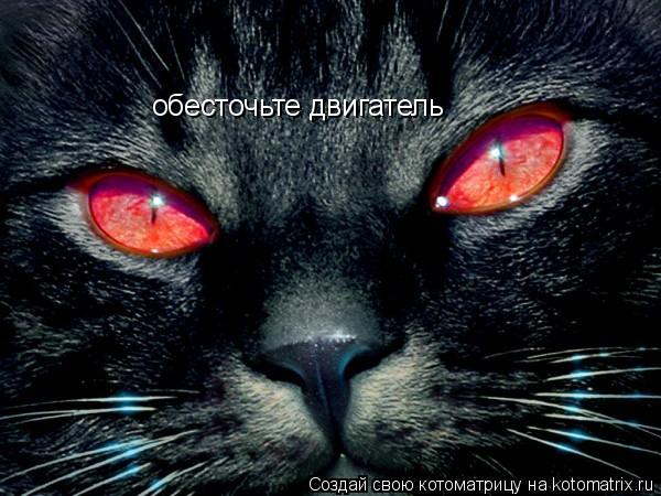 обесточьте двигатель... Котоматрица: обесточьте двигатель