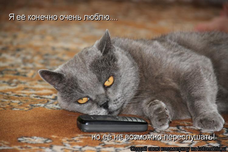 Я её конечно очень люблю.... но её не возможно переслушать!... Котоматрица: Я её конечно очень люблю.... но её не возможно переслушать!