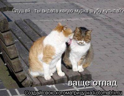 Слушай.. ты видела какую мурка шубу купила??? ваще отпад... Котоматрица: Слушай.. ты видела какую мурка шубу купила??? ваще отпад