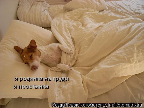 и родинка на груди и простынка... Котоматрица: и родинка на груди и простынка