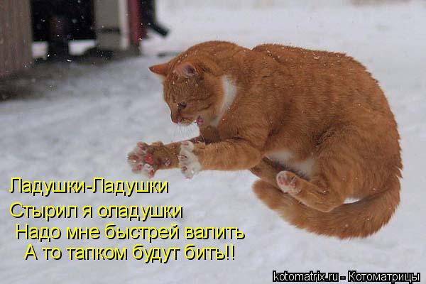 Ладушки-Ладушки Стырил я оладушки Надо мне быстрей валить А то тапком будут бить!!... Котоматрица: Ладушки-Ладушки Стырил я оладушки Надо мне быстрей валить А то тапком будут бить!!