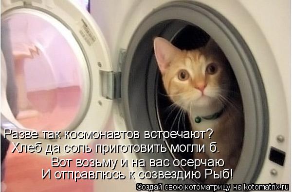 Разве так космонавтов встречают? Хлеб да соль приготовить могли б. Вот возьму и на вас осерчаю И отпр... Котоматрица: Разве так космонавтов встречают? Хлеб да соль приготовить могли б. Вот возьму и на вас осерчаю И отправлюсь к созвездию Рыб!
