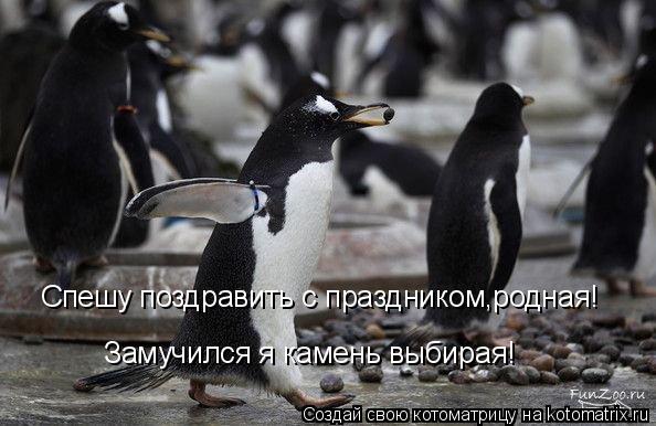 Спешу поздравить с праздником,родная! Замучился я камень выбирая!... Котоматрица: Спешу поздравить с праздником,родная! Замучился я камень выбирая!