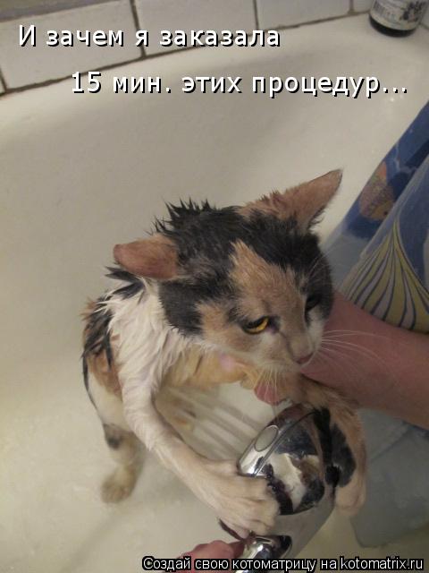 И зачем я заказала 15 мин. этих процедур...... Котоматрица: И зачем я заказала 15 мин. этих процедур...