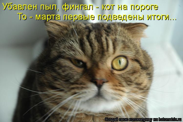 Котоматрица: Убавлен пыл, фингал - кот на пороге То - марта первые подведены итоги...