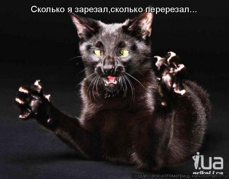 Сколько я зарезал,сколько перерезал... Сколько я зарезал,сколько перерезал...... Котоматрица: Сколько я зарезал,сколько перерезал... Сколько я зарезал,сколько перерезал...