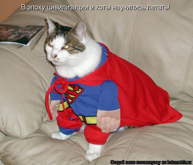 В эпоху цивилизации и коты научились летать!... Котоматрица: В эпоху цивилизации и коты научились летать!
