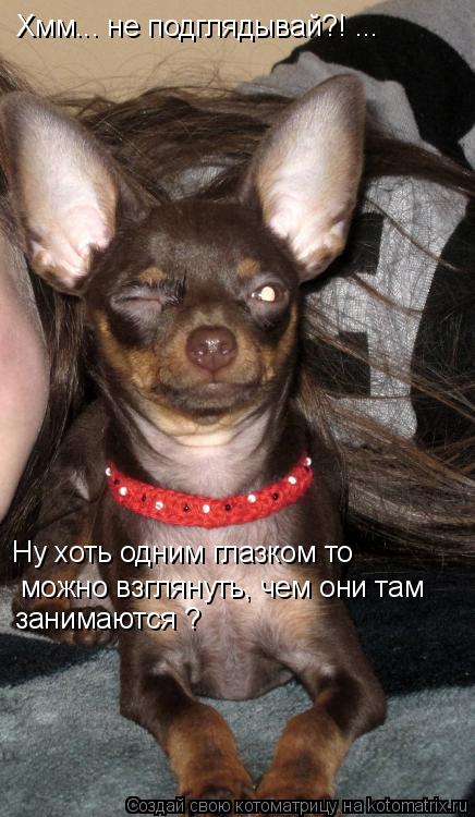 Хмм... не подглядывай?! ... Ну хоть одним глазком то можно взглянуть, чем они там занимаются ?... Котоматрица: Хмм... не подглядывай?! ... Ну хоть одним глазком то можно взглянуть, чем они там занимаются ?