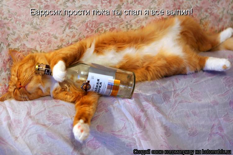 Котоматрица: Баррсик прости пока ты спал я всё выпил!