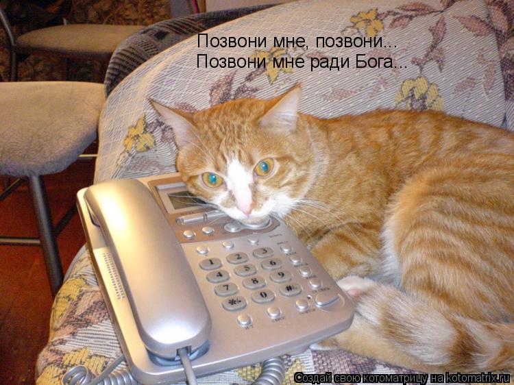 http://kotomatrix.ru/images/lolz/2011/03/07/845264.jpg