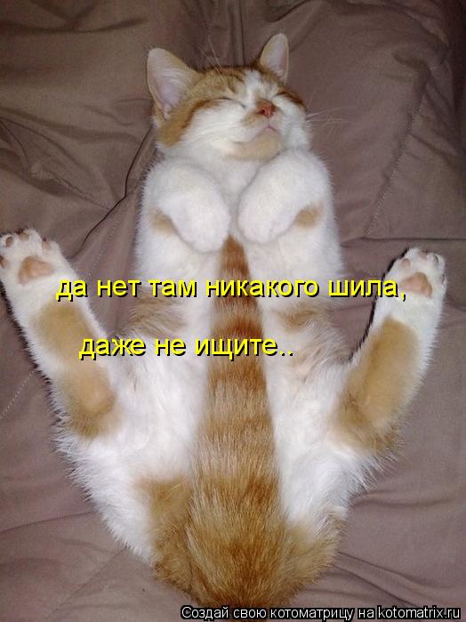 да нет там никакого шила, даже не ищите..... Котоматрица: да нет там никакого шила, даже не ищите..