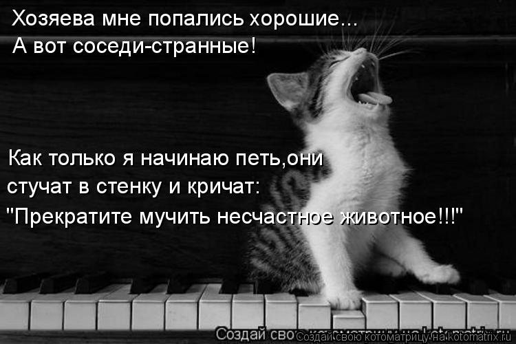 Хозяева мне попались хорошие... А вот соседи-странные! Как только я начинаю петь,они стучат в стенку ... Котоматрица: Хозяева мне попались хорошие... А вот соседи-странные! Как только я начинаю петь,они стучат в стенку и кричат: "Прекратите мучить несчастное
